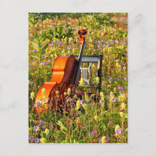 Cartão Postal Violoncelo com cadeira em um campo dos wildflowers