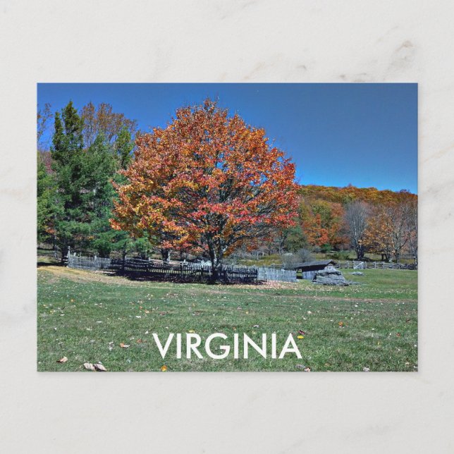 CARTÃO POSTAL VIRGINIA (Frente)