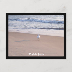 Cartão Postal Virginia Beach