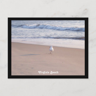 Cartão Postal Virginia Beach