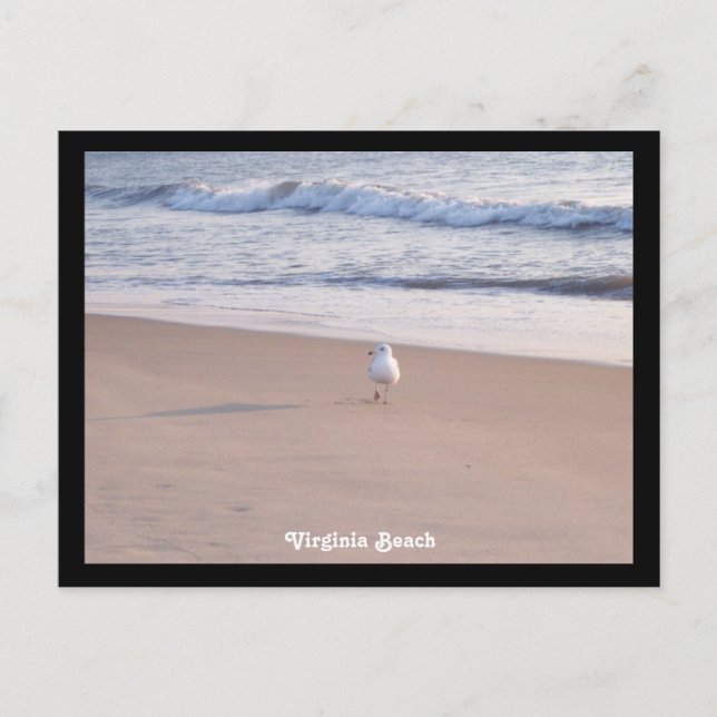 Cartão Postal Virginia Beach (Frente)