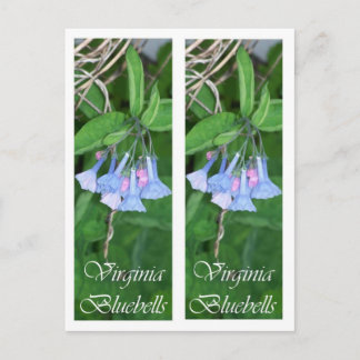 CARTÃO POSTAL VIRGINIA BLUEBELLS BOOKMARKS