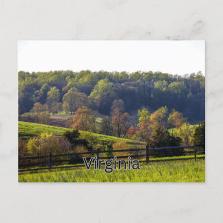 Cartão Postal Virginia Postcard Souvenir