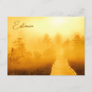 Cartão Postal Viru Bog Ouro Sunrise