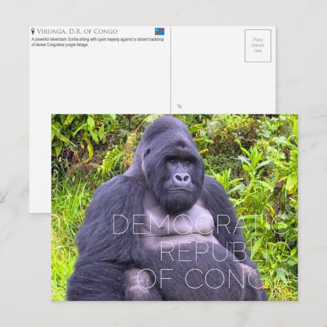 Cartão Postal Virunga, República Democrática do Congo Viagem (Frente/Verso)