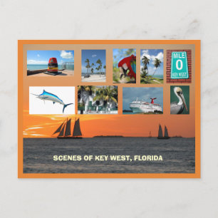 Cartão Postal Visão Cênica do Oeste, Flórida