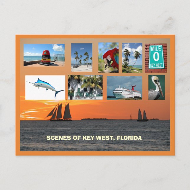 Cartão Postal Visão Cênica do Oeste, Flórida (Frente)