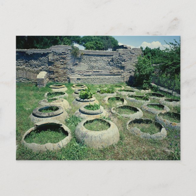 Cartão Postal Visão das compradas (Frente)