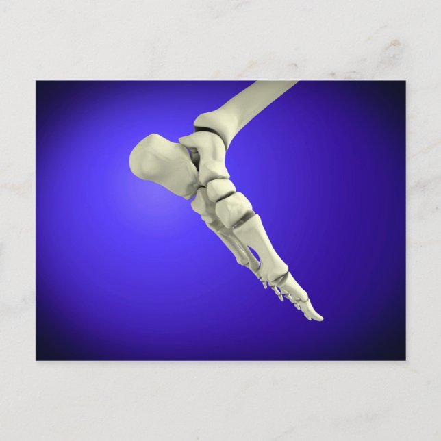 Cartão Postal Visão De Raios X Do Pé Humano 2 (Frente)