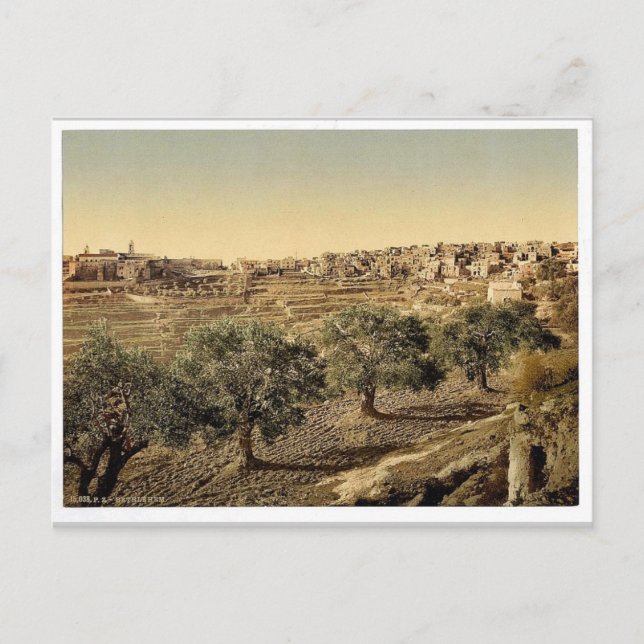 Cartão Postal Visão geral do poço de David, Belém, Santo Deus (Frente)