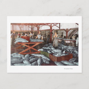 Cartão Postal Visão interior de uma fábrica de salmão