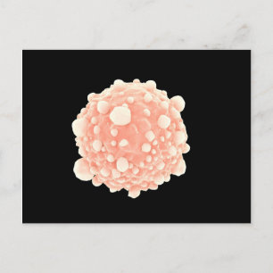 Cartão Postal Visão Microscópica Da Célula Do Câncer de pân