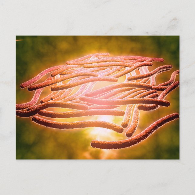 Cartão Postal Visão Microscópica Da Legionella Pneumophila 2 (Frente)