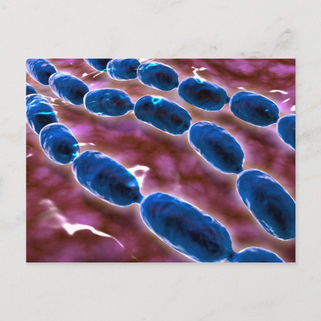 Cartão Postal Visão Microscópica Da Pneumonia Bacteriana 1 (Frente)