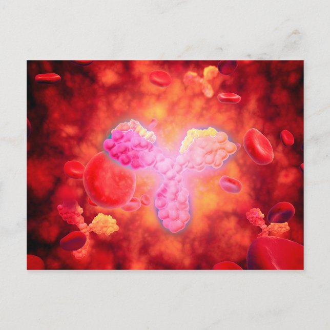 Cartão Postal Visão Microscópica De Anitorpos Humanos (Frente)