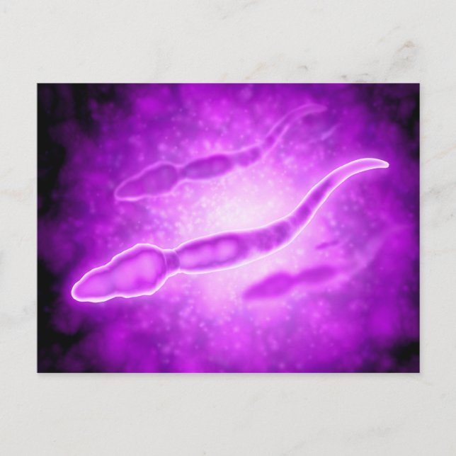 Cartão Postal Visão Microscópica De Células De Sperma Masculinas (Frente)