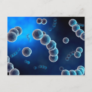 Cartão Postal Visão Microscópica de Streptococcus 2
