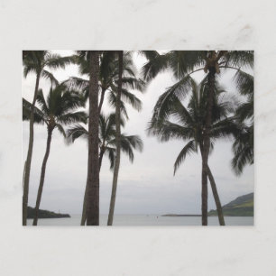 Cartão Postal Visão tropical em Kauai