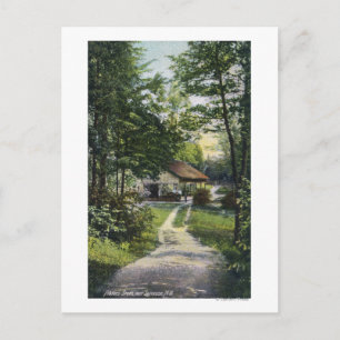 Cartão Postal Visão Verde dos Moradores