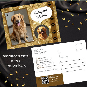 Cartão Postal Visita do Cão de Terapia Gold Sparkle