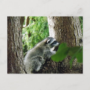 Cartão Postal Visitante Inesperado, #6