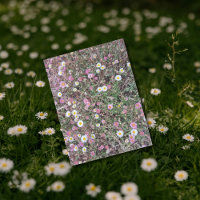 Visitas Selvagens e Flores Rosa no Campo Natural