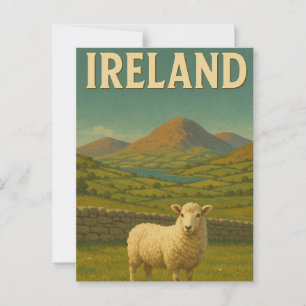 Cartão Postal Visite Ireland Sheep