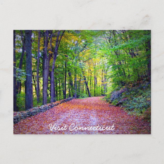 Cartão Postal Visite o Cartão-postal do Connecticut (Frente)