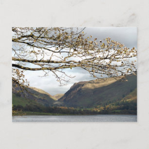 CARTÃO POSTAL VISÕES DAS PAREDES