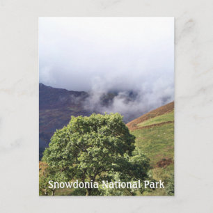 CARTÃO POSTAL VISÕES DAS PAREDES