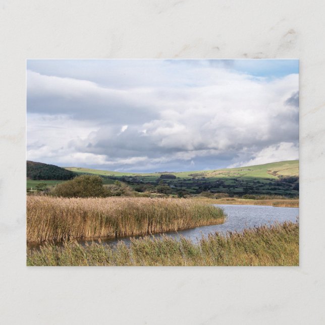 CARTÃO POSTAL VISÕES DAS PAREDES (Frente)