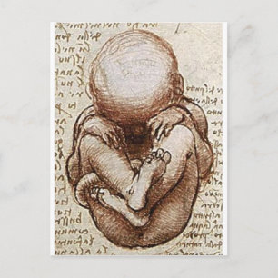 Cartão Postal Visões de um feto no detalhe do Womb