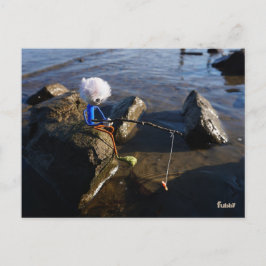 Cartão Postal Vissende Fubby op een steen.