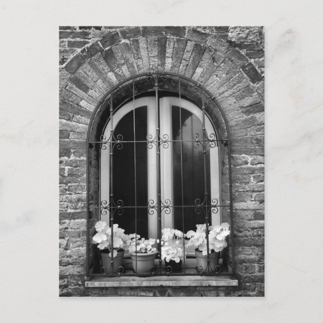 Cartão Postal Vista a preto e branco das janelas e potes de flor (Frente)