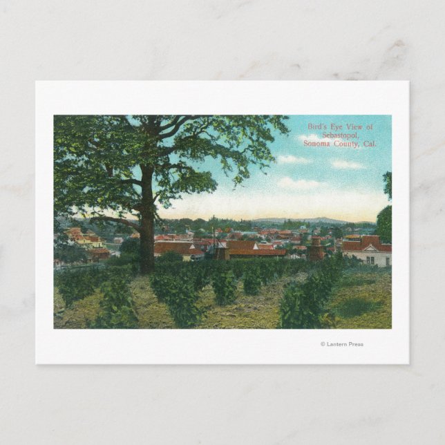 Cartão Postal Vista aérea da Cidade de Sebastopol, CA (Frente)