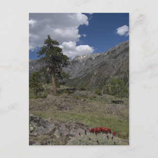 Cartão Postal vista ao longo da trilha da mina de Suton