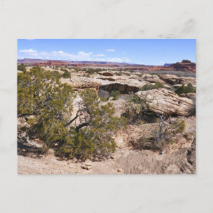 Cartão Postal Vista Canyonlands a partir da Trilha de Primaveras