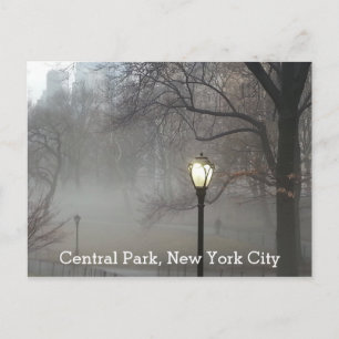 Cartão Postal Vista cênica do Central Park Nova York Inverno Nev