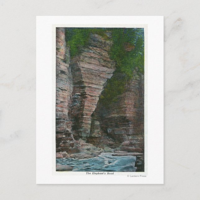 Cartão Postal Vista da Cabeça do Elefante (Frente)