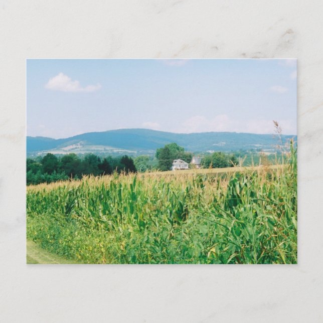 Cartão Postal Vista da Montanha do Sul, Turner's Gap (Frente)