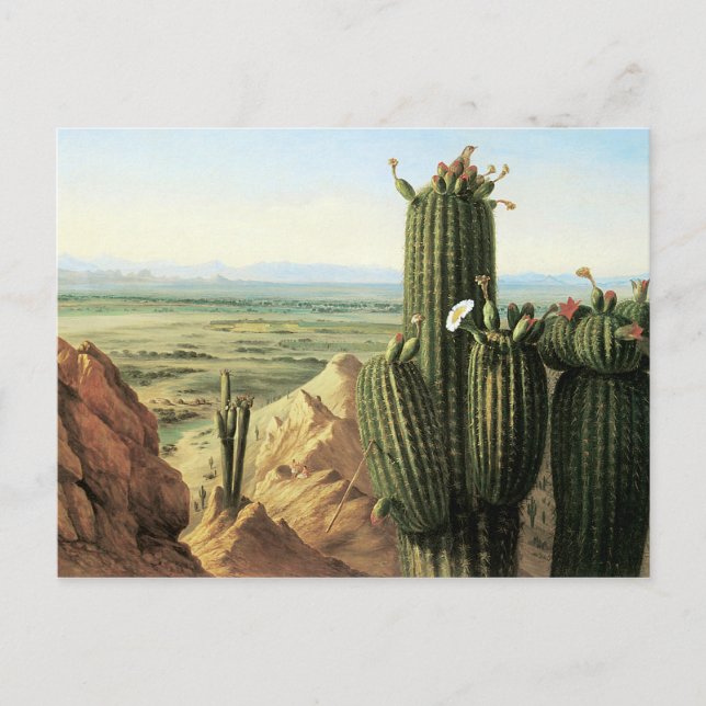 Cartão Postal Vista da Montanha Maricopa Perto do Rio Gila (Frente)