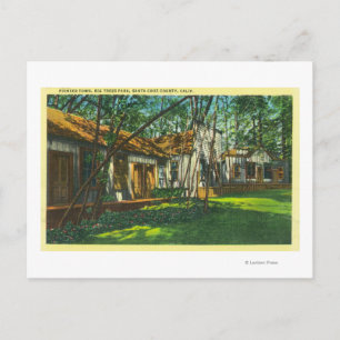 Cartão Postal Vista da Pioneer Town no Big Trees Park