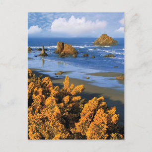 Cartão Postal Vista da Praia de Oregon em Bandon