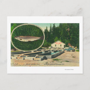 Cartão Postal Vista da Trout Haven HatcheryGasquet, CA