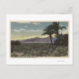 Cartão Postal Vista das datas que crescem perto do Mar de Salton