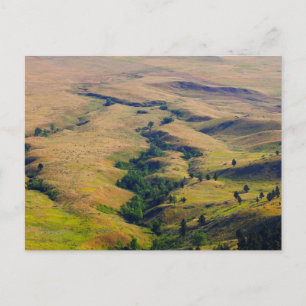 Cartão Postal Vista das planícies que circundam o botão do urs