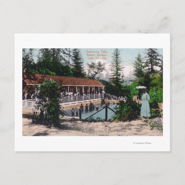 Cartão Postal Vista das Primaveras da piscina Adams, AC (Frente)