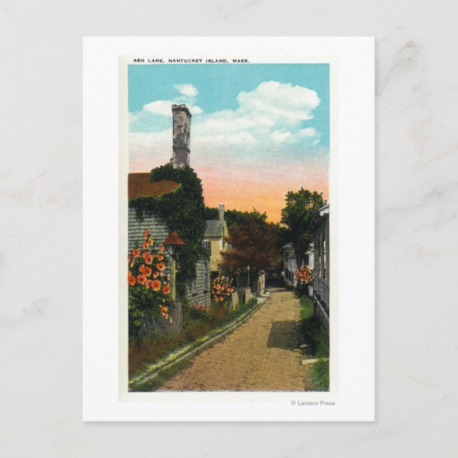 Cartão Postal Vista de Ash Lane (Frente)