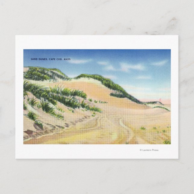 Cartão Postal Vista de Cabo Cod Sand Dunes (Frente)