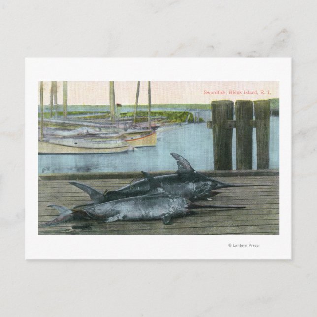 Cartão Postal Vista de dois peixes-espada (Frente)